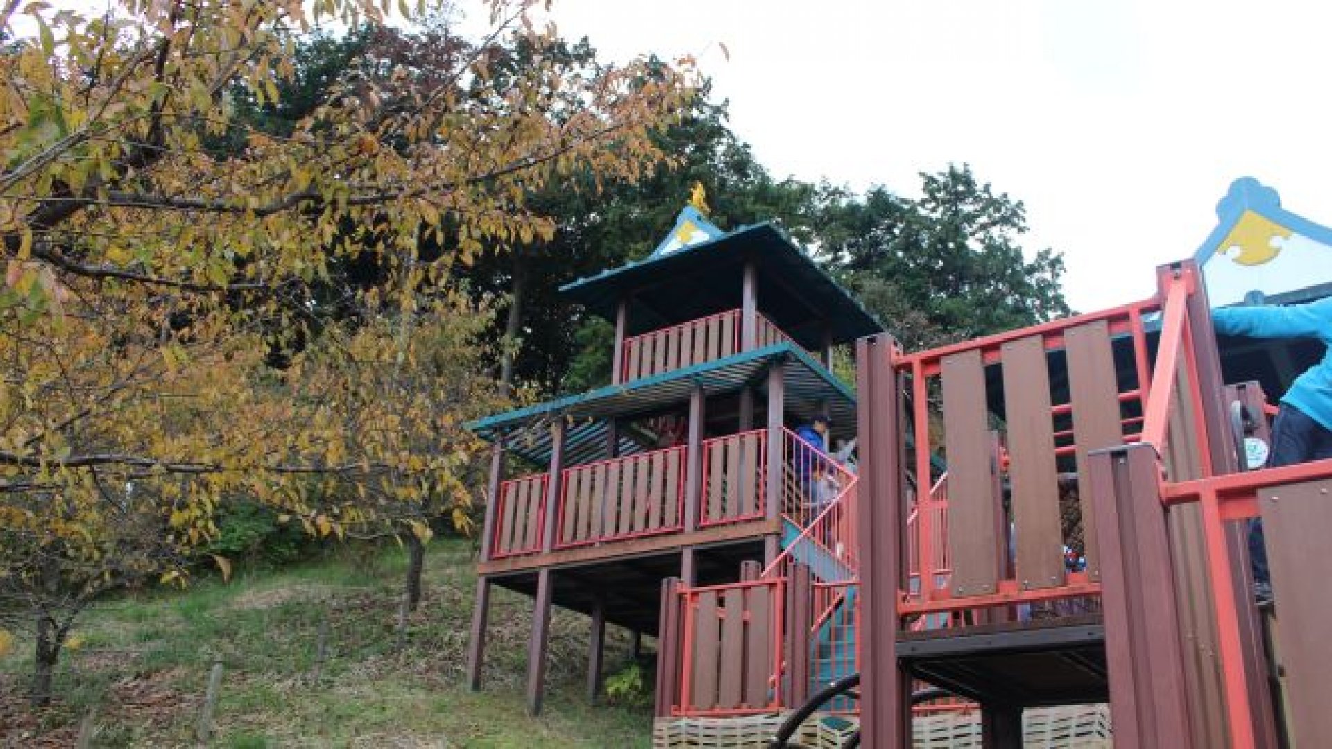 🌳 어린이의 숲 완파쿠랜드(코도모노모리 완파쿠란도) 이미지 6